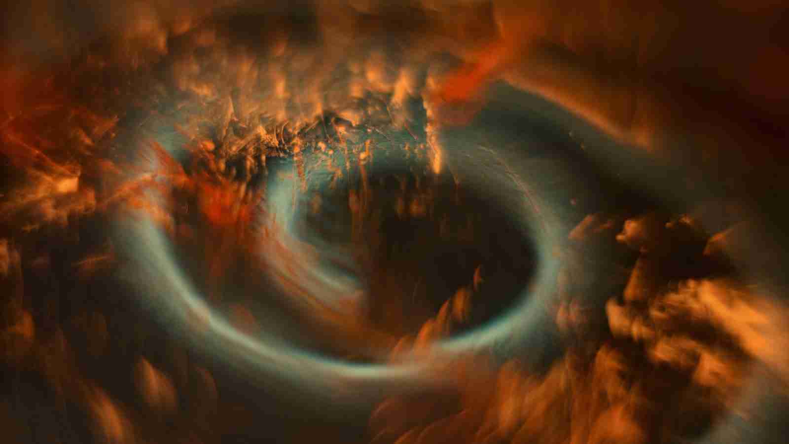 The Magic of Modern Rice Processing Machines