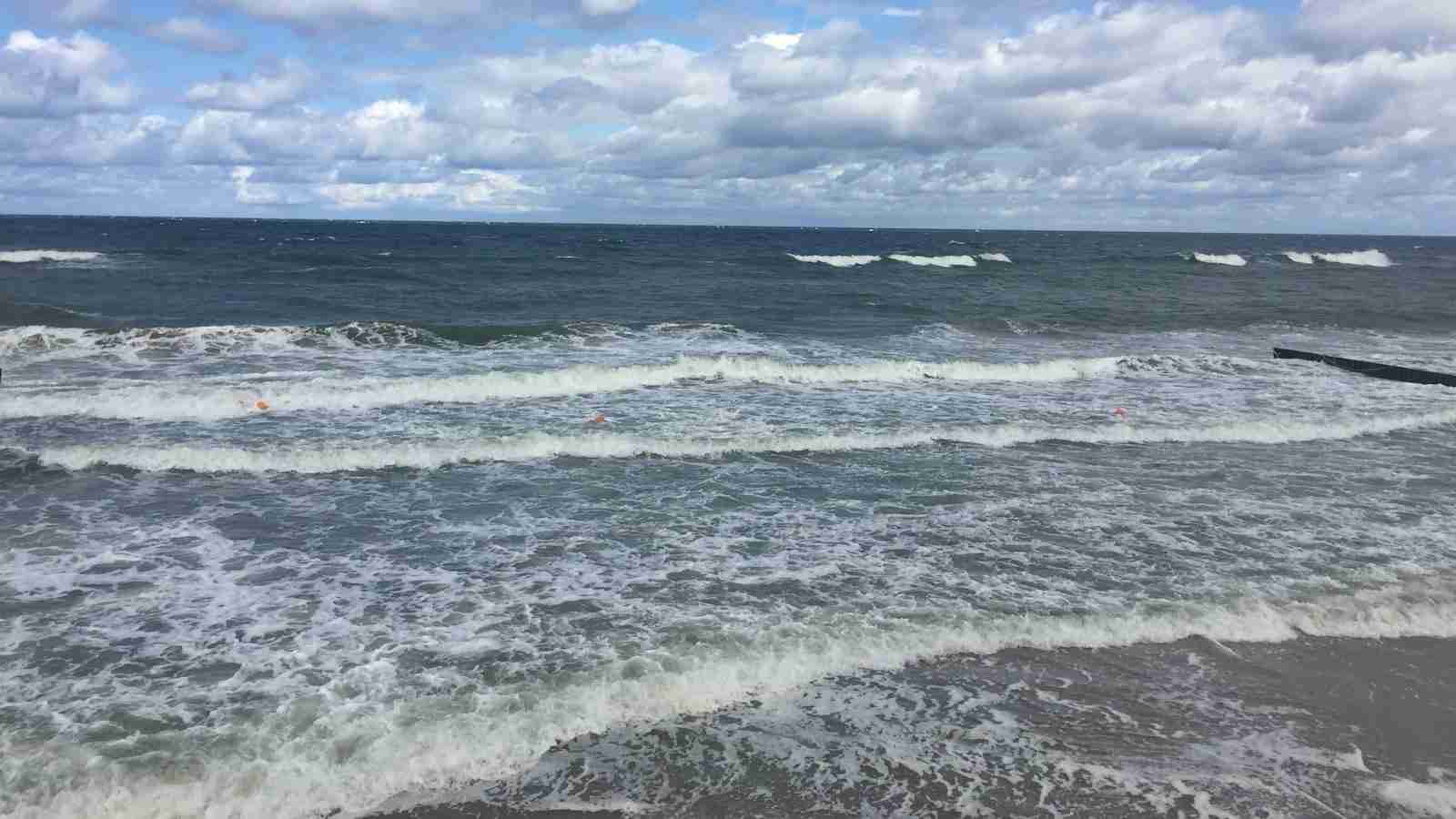 The Rice Renovation: Inside a Paddy Processing Plant