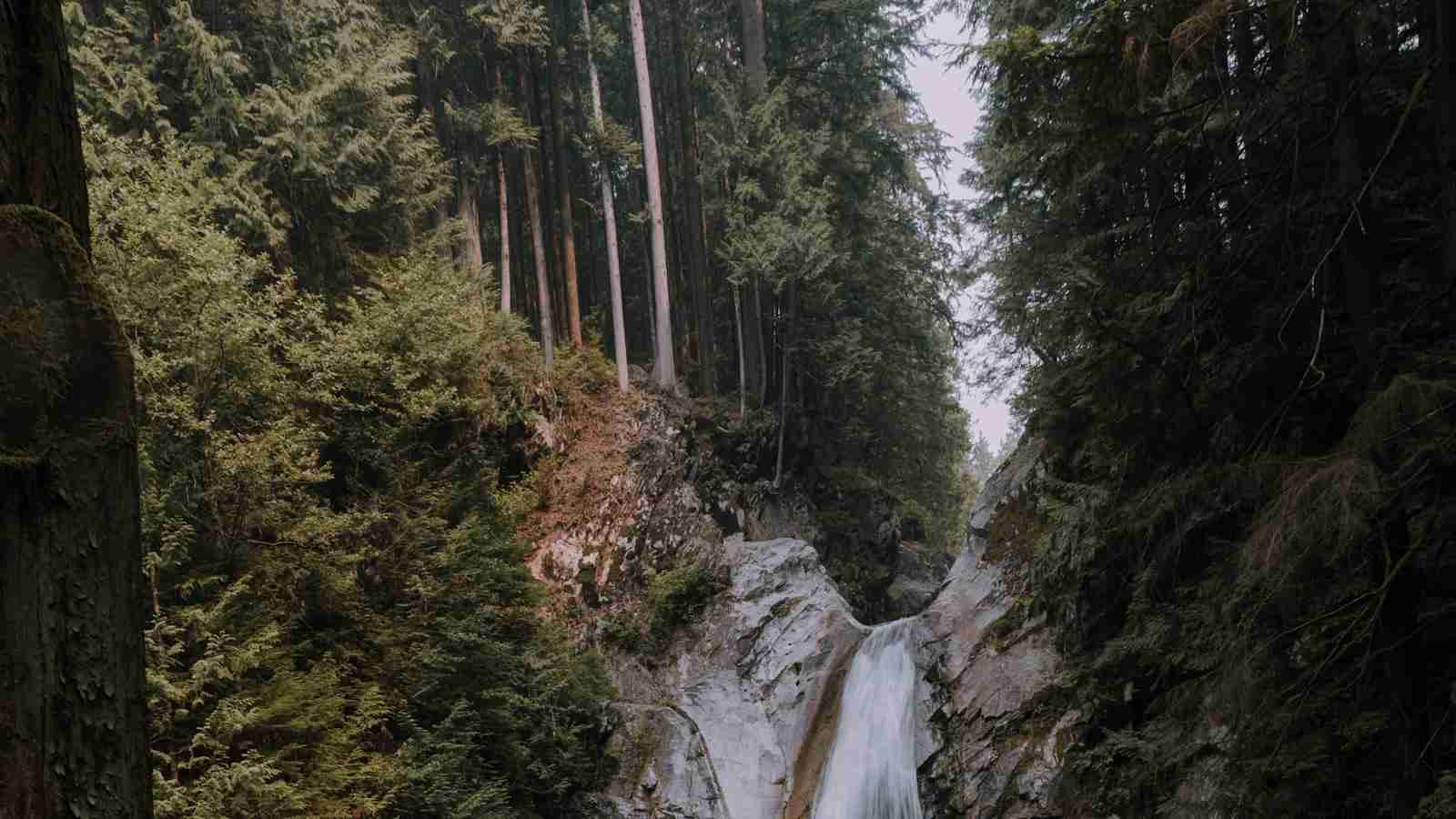 The Mighty Mini: Unveiling the Small Rice Mill