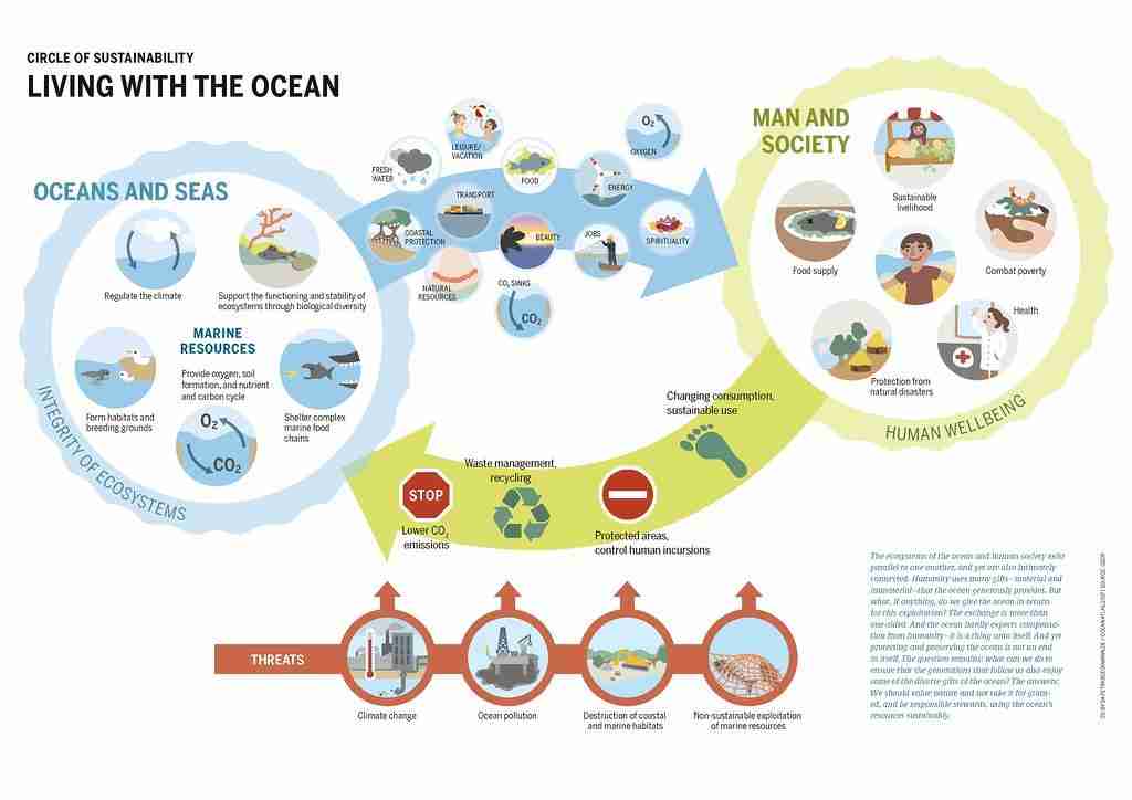 The Heart of Grain: The Rice Mill Plant 3 Sustainability Practices in Rice Mill Plants