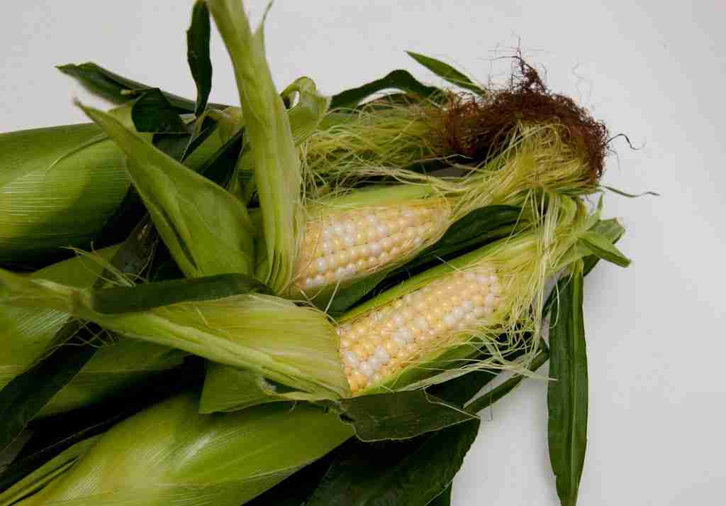 Corn to the Core: The Process of Corn Processing 2 Unlocking the Nutritional Benefits of Corn