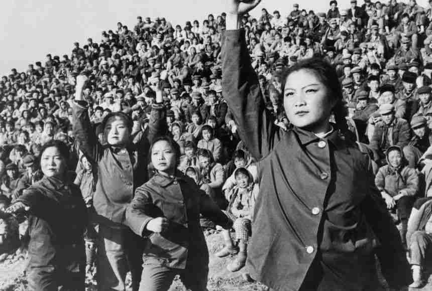 The Revolution of Rice Milling: Innovative Industrial Machines