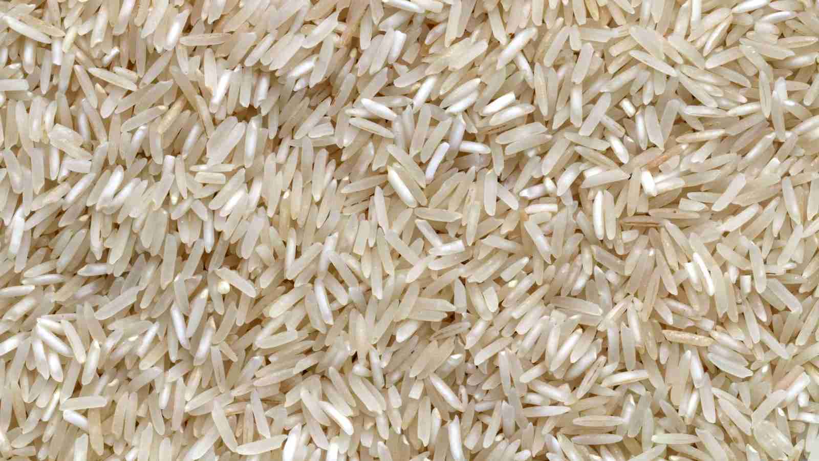 Unveiling the Power of Mini Rice Mills