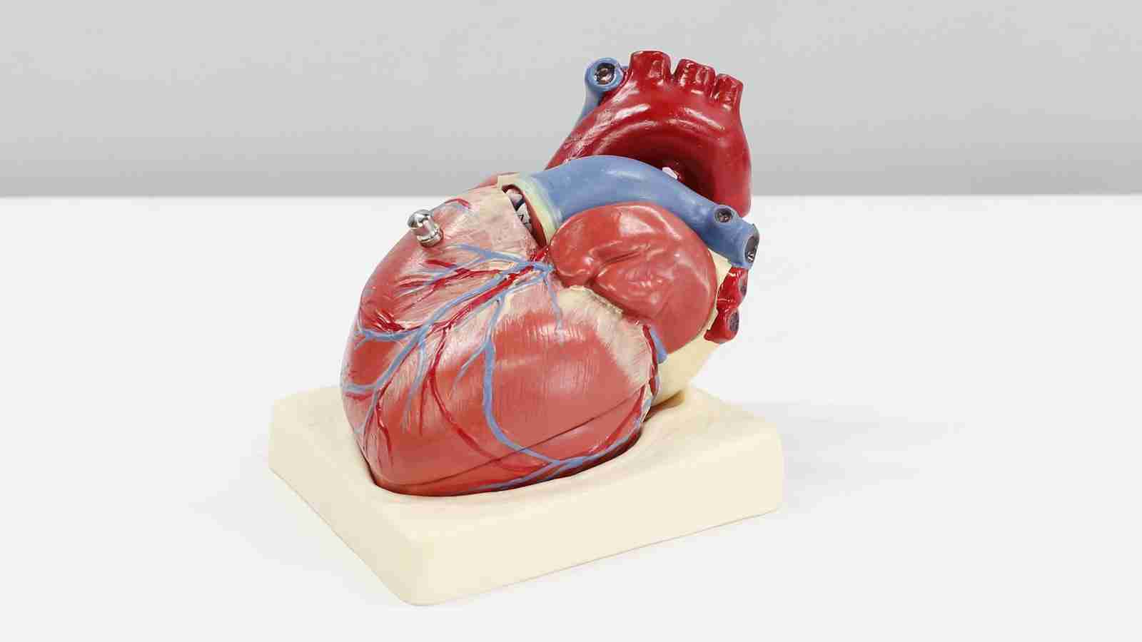 The Heart of Grain: The Rice Mill Plant