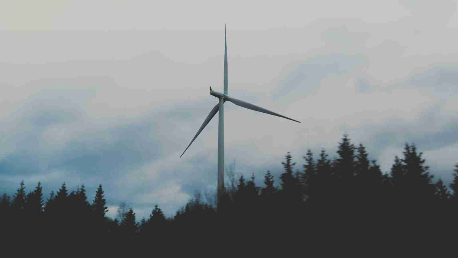 The Art of Automated Harvest: Unveiling the Paddy Processing Machine 2 Efficiency and Precision: Key Features of Automated Harvesting