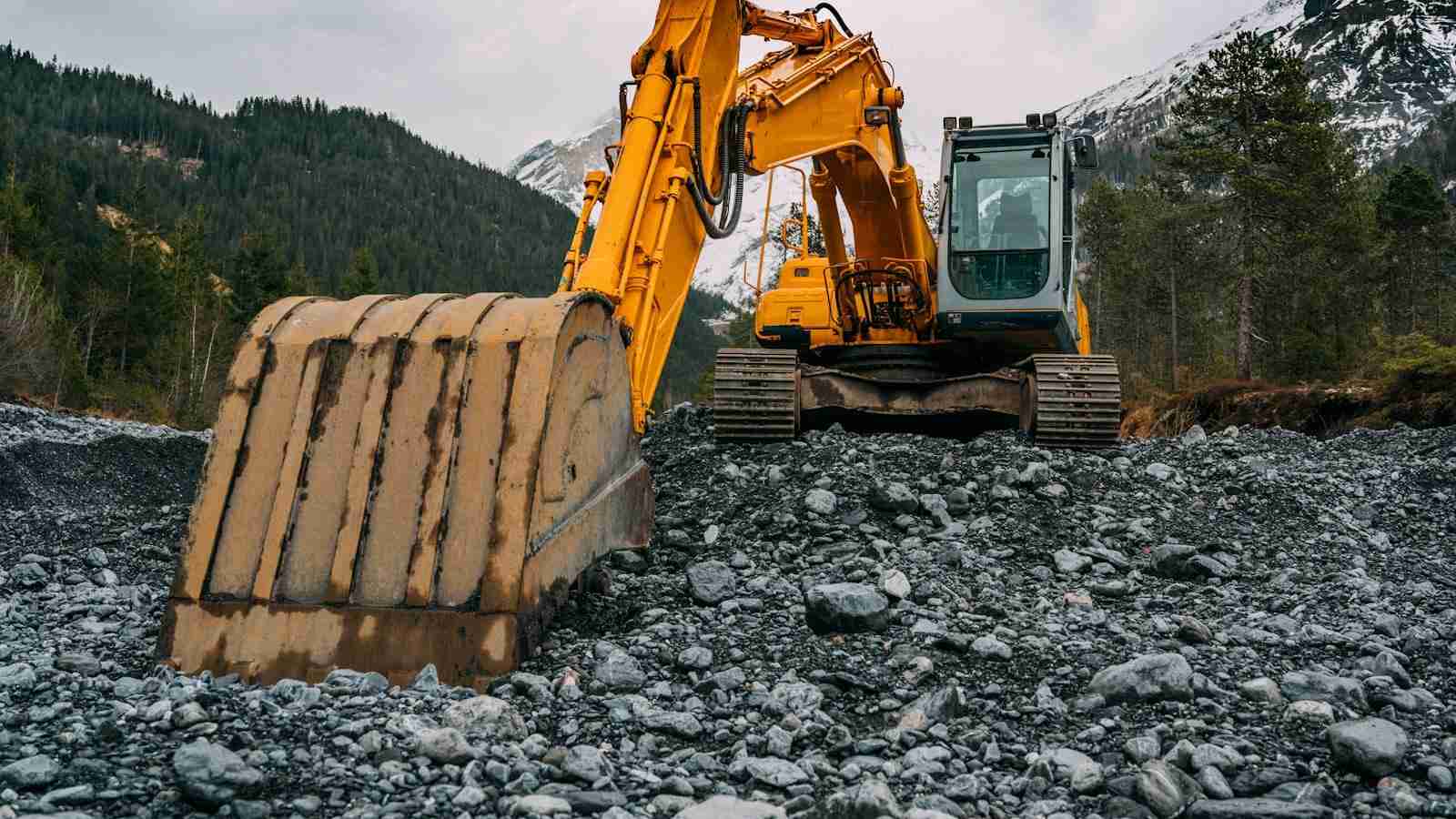 Harvesting Success: Building a 2 Ton Rice Mill Plant Project 2 Selecting the Right Machinery for Optimal Efficiency