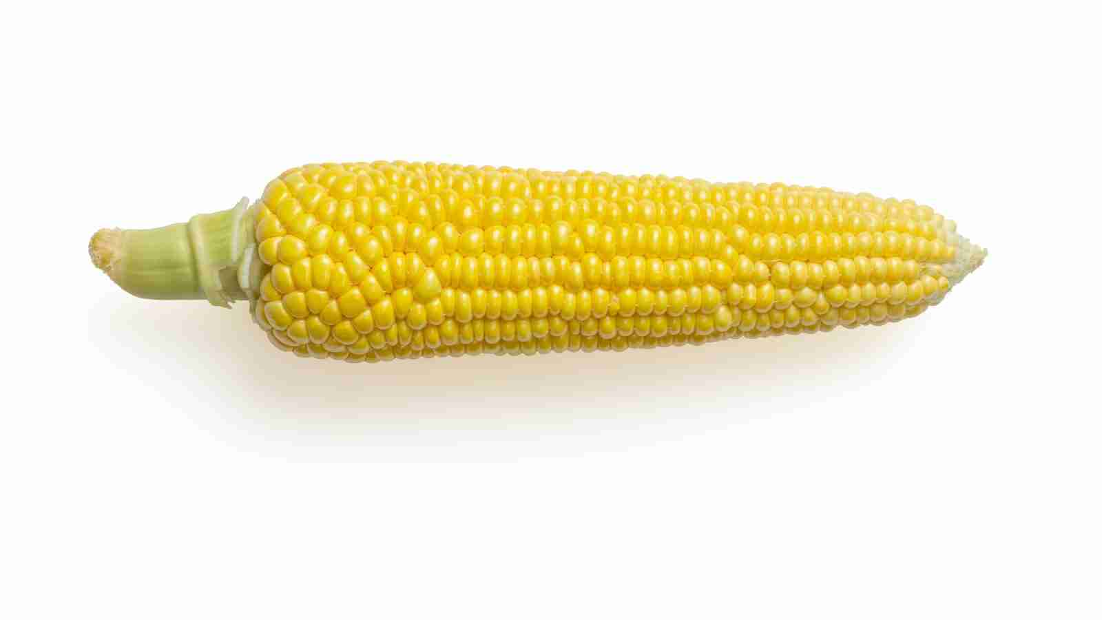 From Field to Fork: The Fascinating World of Corn Processing 1 The journey of corn from farm to table