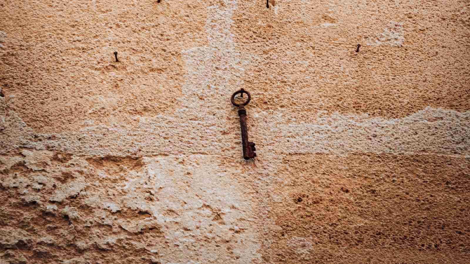 The Mighty 5-Ton Rice Mill: A Closer Look at Efficiency 1 - Understanding the Key Components of a 5-Ton Rice Mill