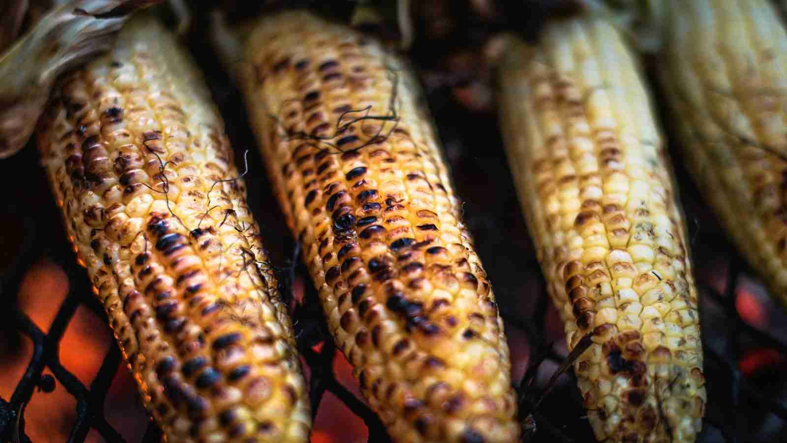 The Art of Corn Processing: From Kernel to Product 4 Innovative Corn Processing Methods: Exploring Future Opportunities