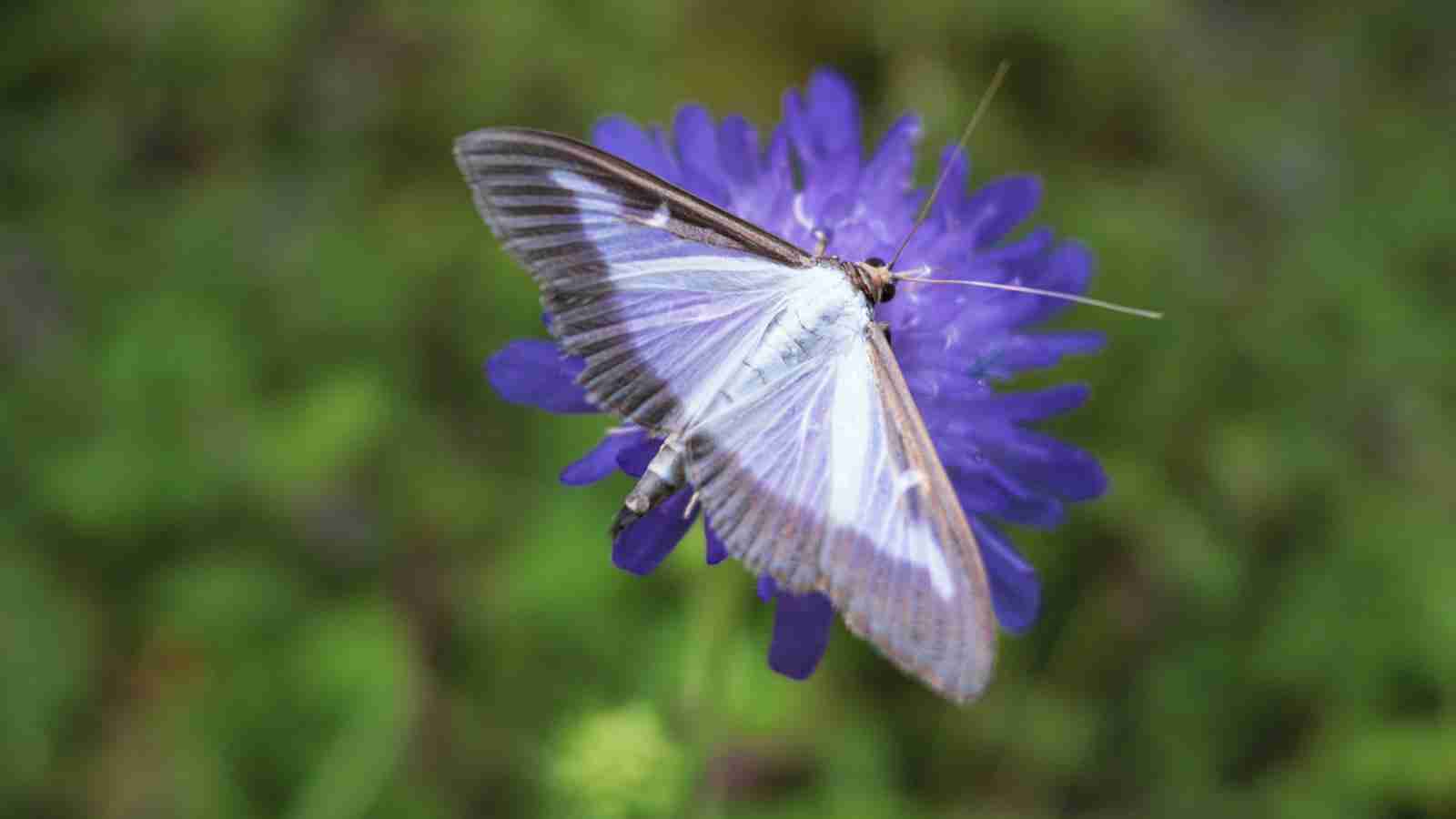 Grainy Endeavors: The Compact World of Small Rice Mills 1 Introduction: Exploring the Fascinating Realm of Small Rice Mills