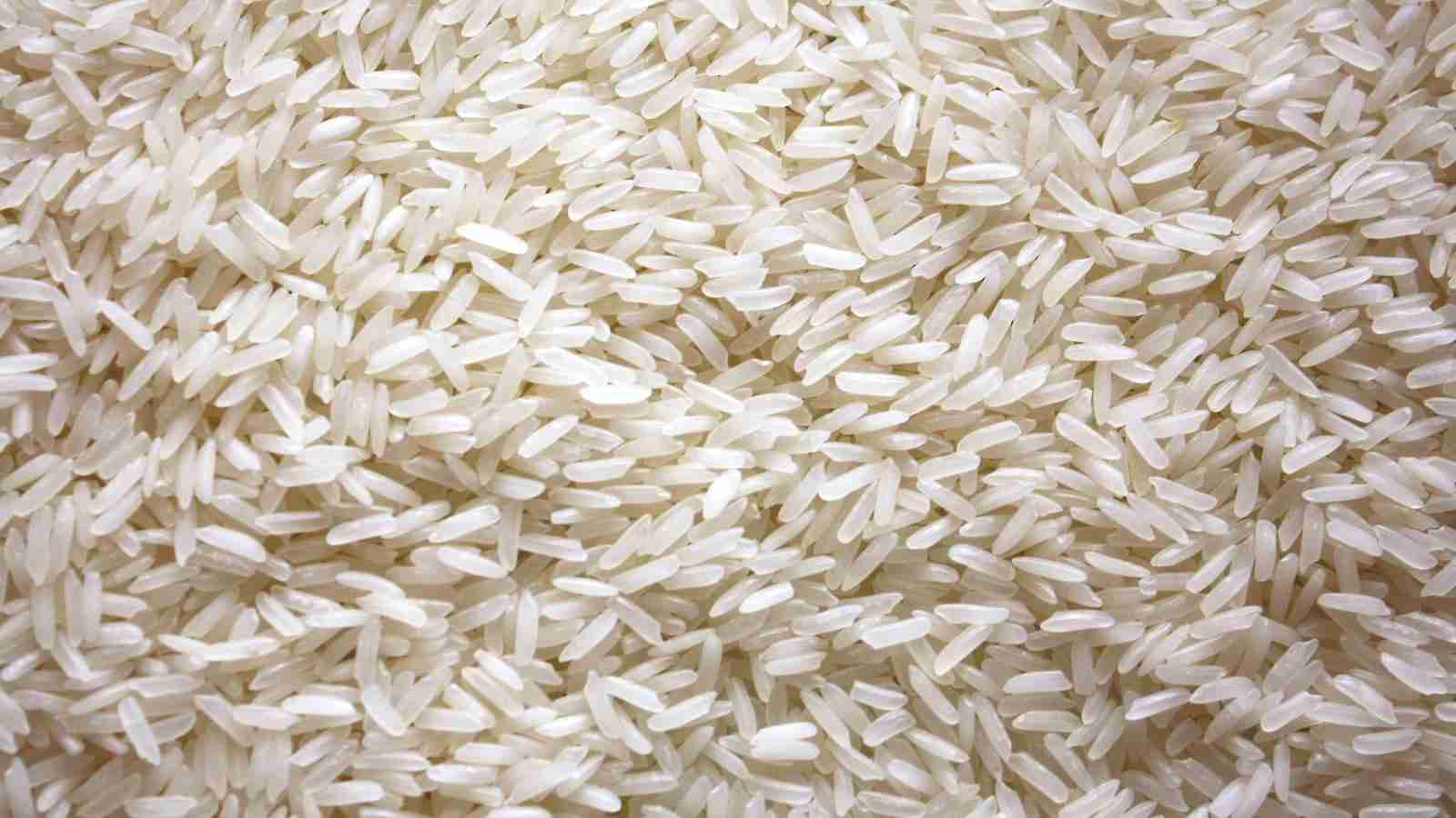 The Rice Revolution: Inside a Paddy Processing Factory 1 The Rice Revolution Begins: Introducing the Paddy Processing Factory