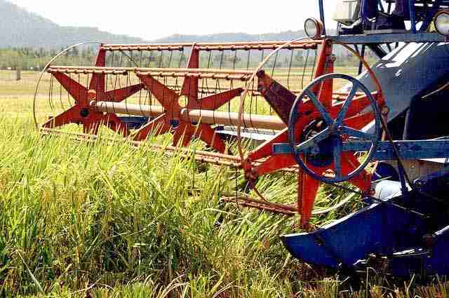 The Art of Rice Processing: From Harvest to Table 1 Exploring the Traditional Methods of Rice Harvesting and Threshing
