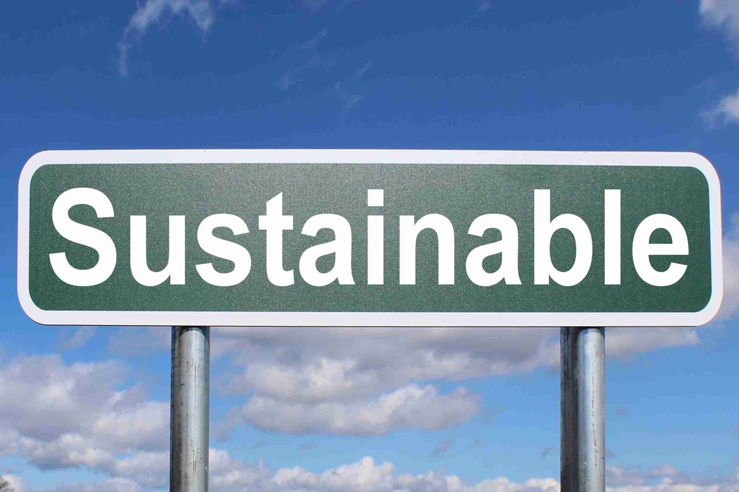 The Rice Revolution: Inside a Paddy Processing Unit 3 Sustainable Practices to Minimize Environmental Impact