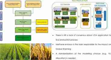The Ultimate 5 Ton Rice Mill: A Detailed Overview 2 Overview of 5 Ton Rice Mill Operations