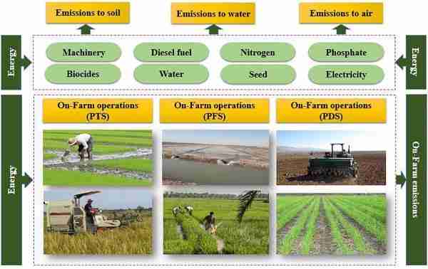 The Art of Rice Processing: Inside a Modern Plant 3 Heading 3: Sustainable Practices in Modern Rice Processing Facilities