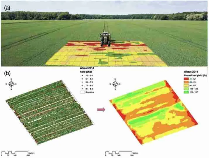 Revolutionizing Rice Milling: The Compact Combine Solution 1 Revolutionizing Rice Milling Technology
