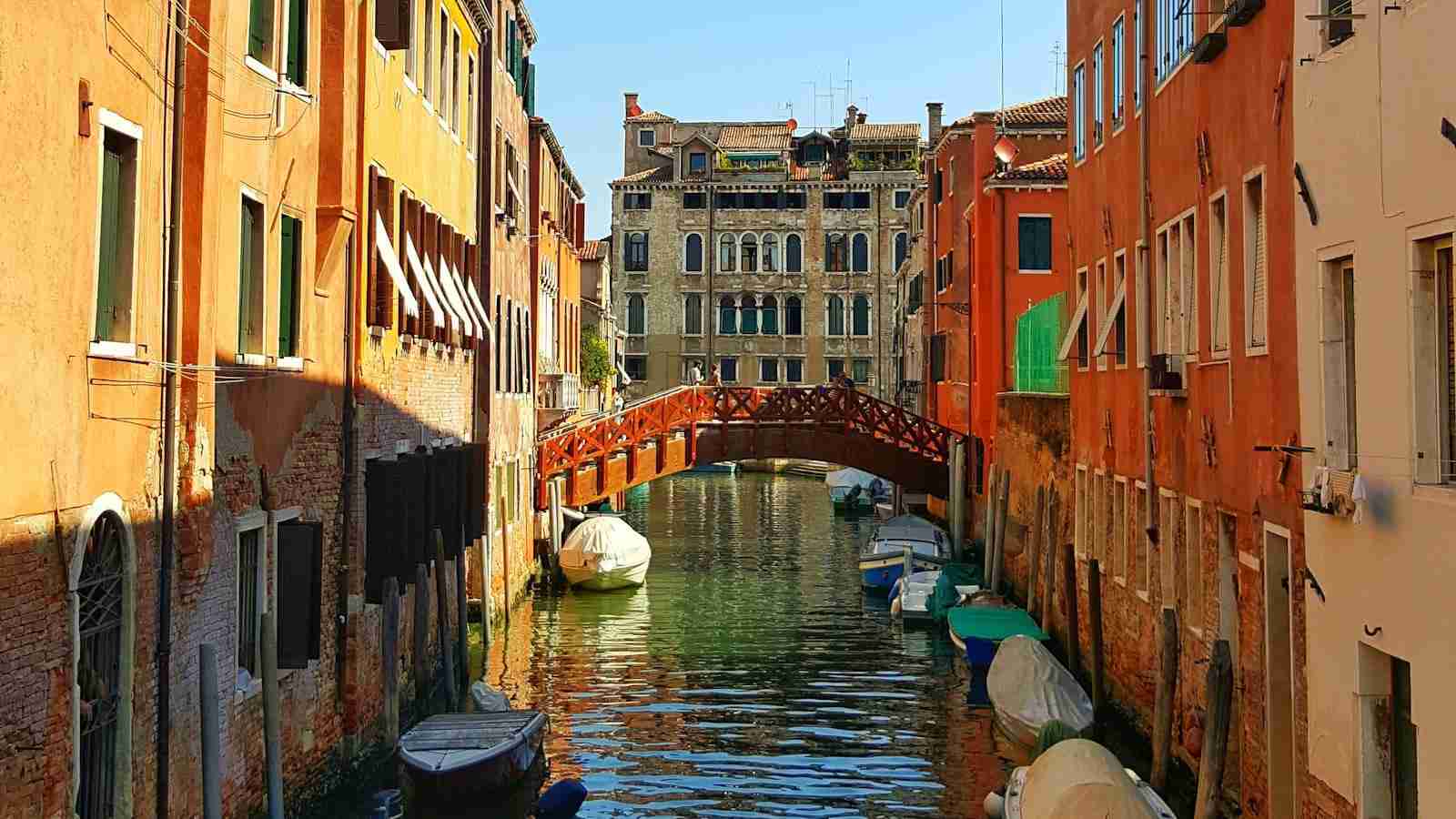 The Journey of a 2 Ton Rice Mill Plant: From Blueprint to Reality