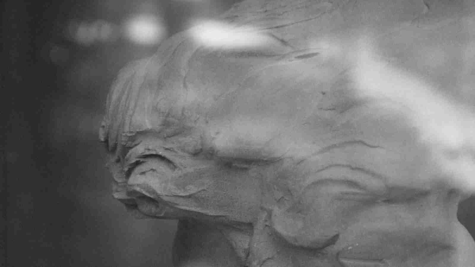 Unleashing the Potential: The 5-Ton Rice Mill Revolution