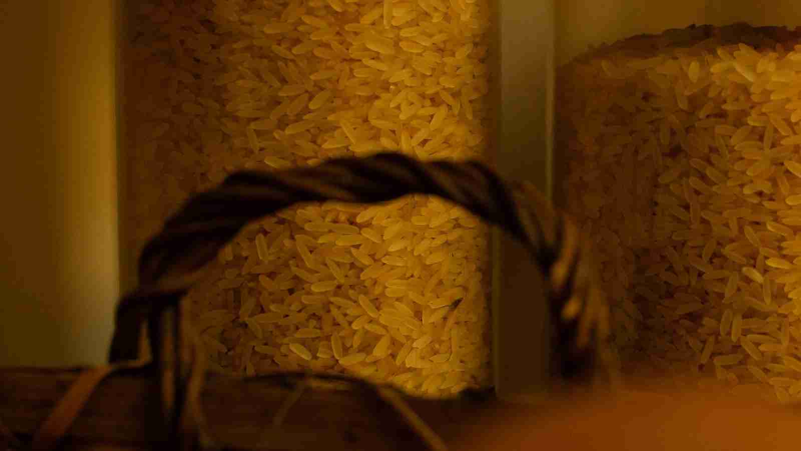 Revolutionizing Rice: The Jet Rice Polisher