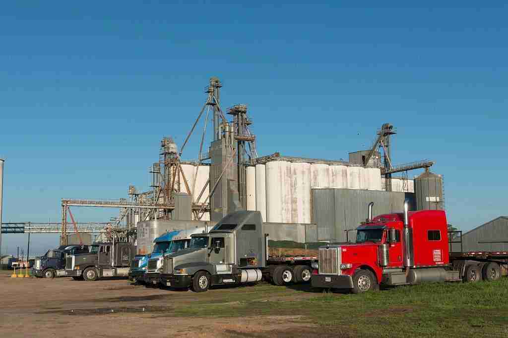 The Grain Game: Inside a Rice Processing Plant