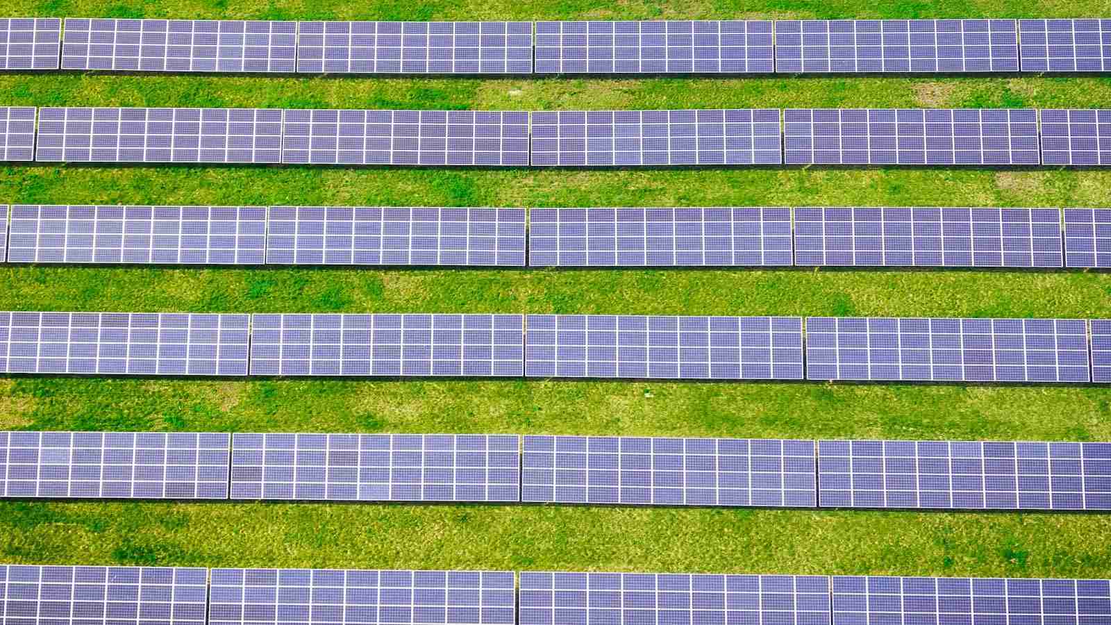 Exploring the Efficiency of Mini Rice Mills