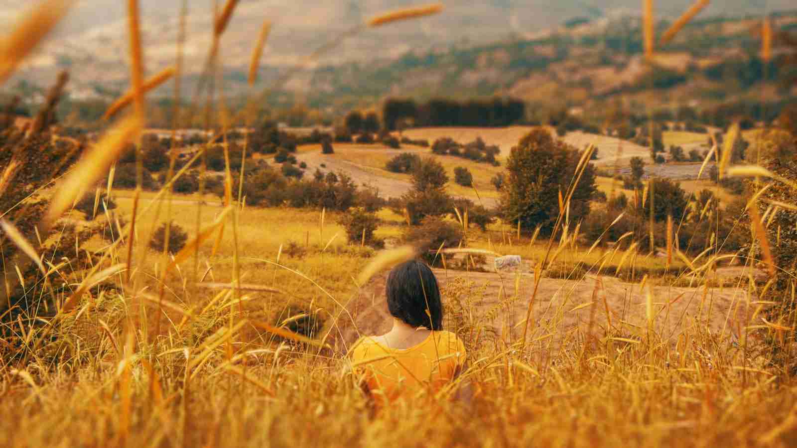 Grain to Gain: Unleashing the Potential of Mini Rice Mill Plants