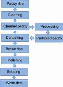From Farm to Bowl: The Art of Cereal Processing 1 Understanding Cereal Processing Techniques