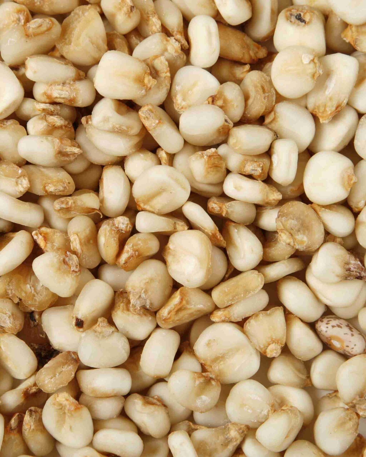The Art of Corn Processing: A Sweet and Savory Journey 2 Mastering the Techniques of Nixtamalization and Masa Preparation