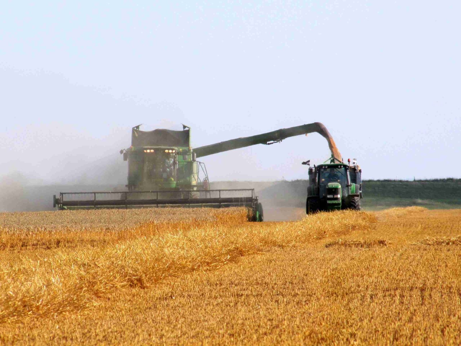 The Compact Revolution: Unveiling the Combine Mini Rice Mill 1 Introducing the Combine Mini Rice Mill