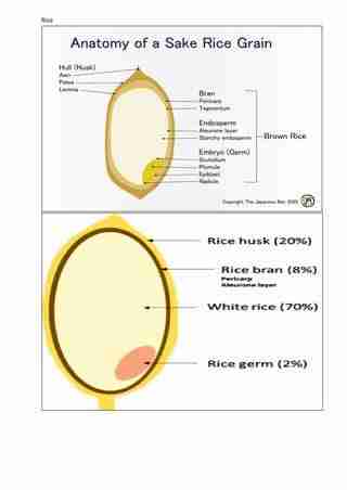 The Ultimate 4 Ton Rice Mill Plant: Efficiency at its Finest 1 Introduction: Unveiling the Power of the Ultimate 4 Ton Rice Mill Plant