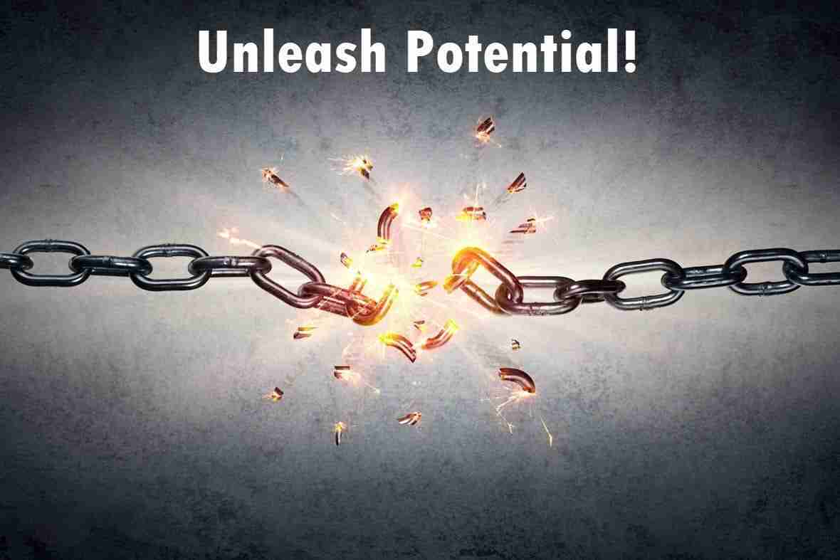 Shining Small: The Compact Power of Mini Rice Polishers 1 Unleashing the Potential: How Mini Rice Polishers Transform Grain Quality