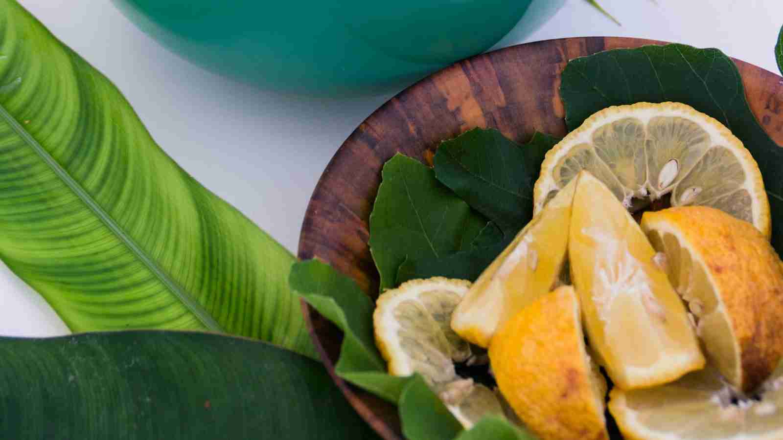 The Art of Cereal Processing: From Field to Bowl 4 Tips for Preserving Freshness and Flavor in Your Breakfast Bowl