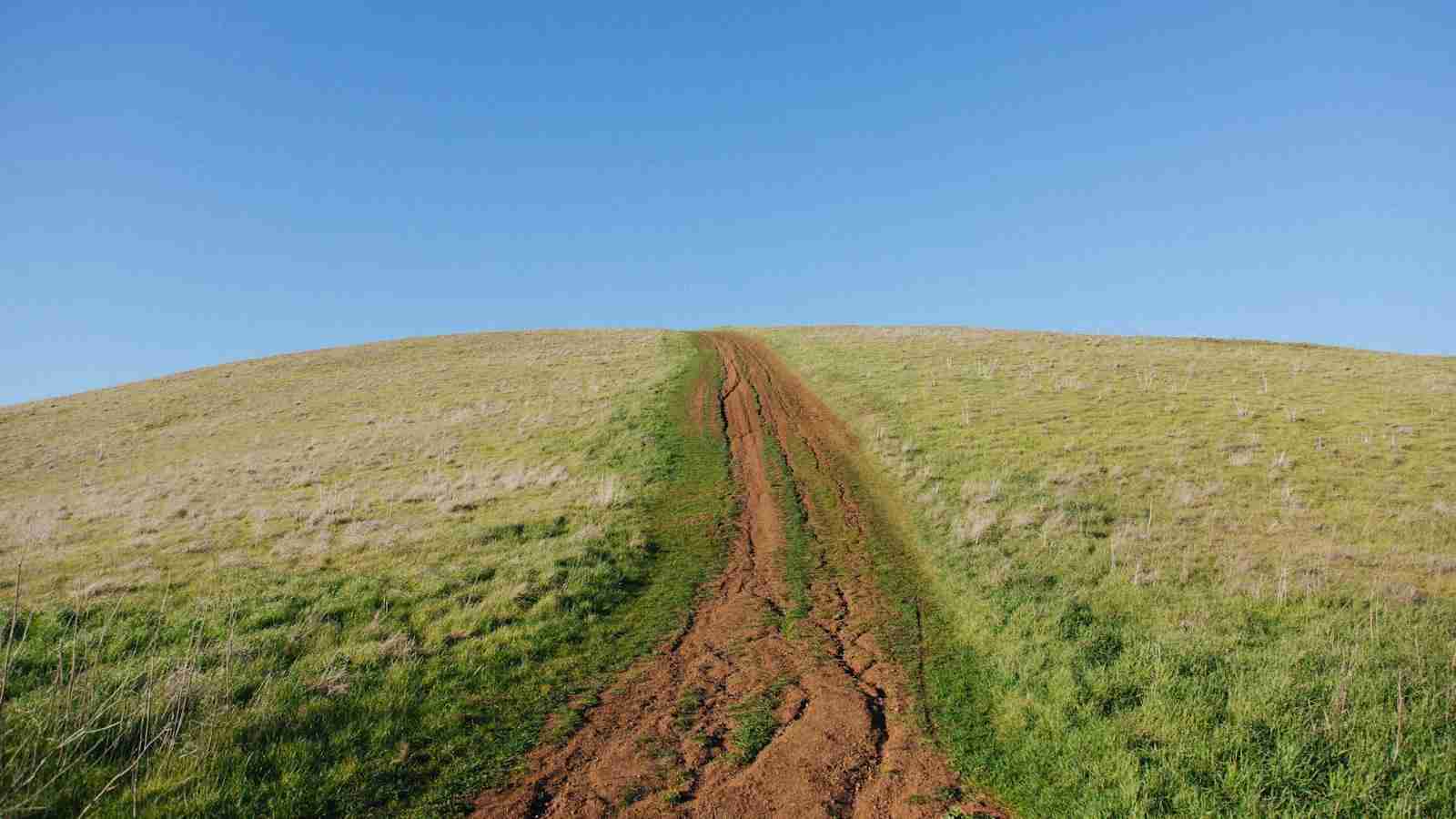 Cracking Corn: The Art of Maize Milling 4 Choosing the Right Corn Cracker for Maximum Yield
