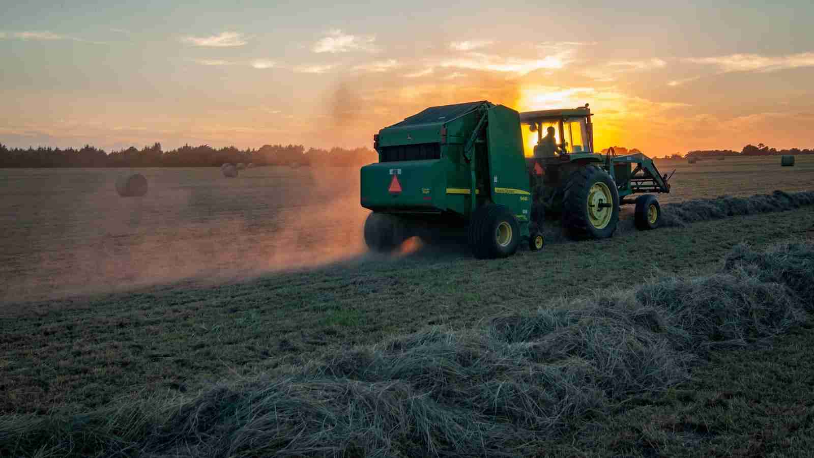 The Magic of Rice Milling Machines: A Game Changer in Agriculture 1 Heading 1: Revolutionizing Traditional Agriculture Practices