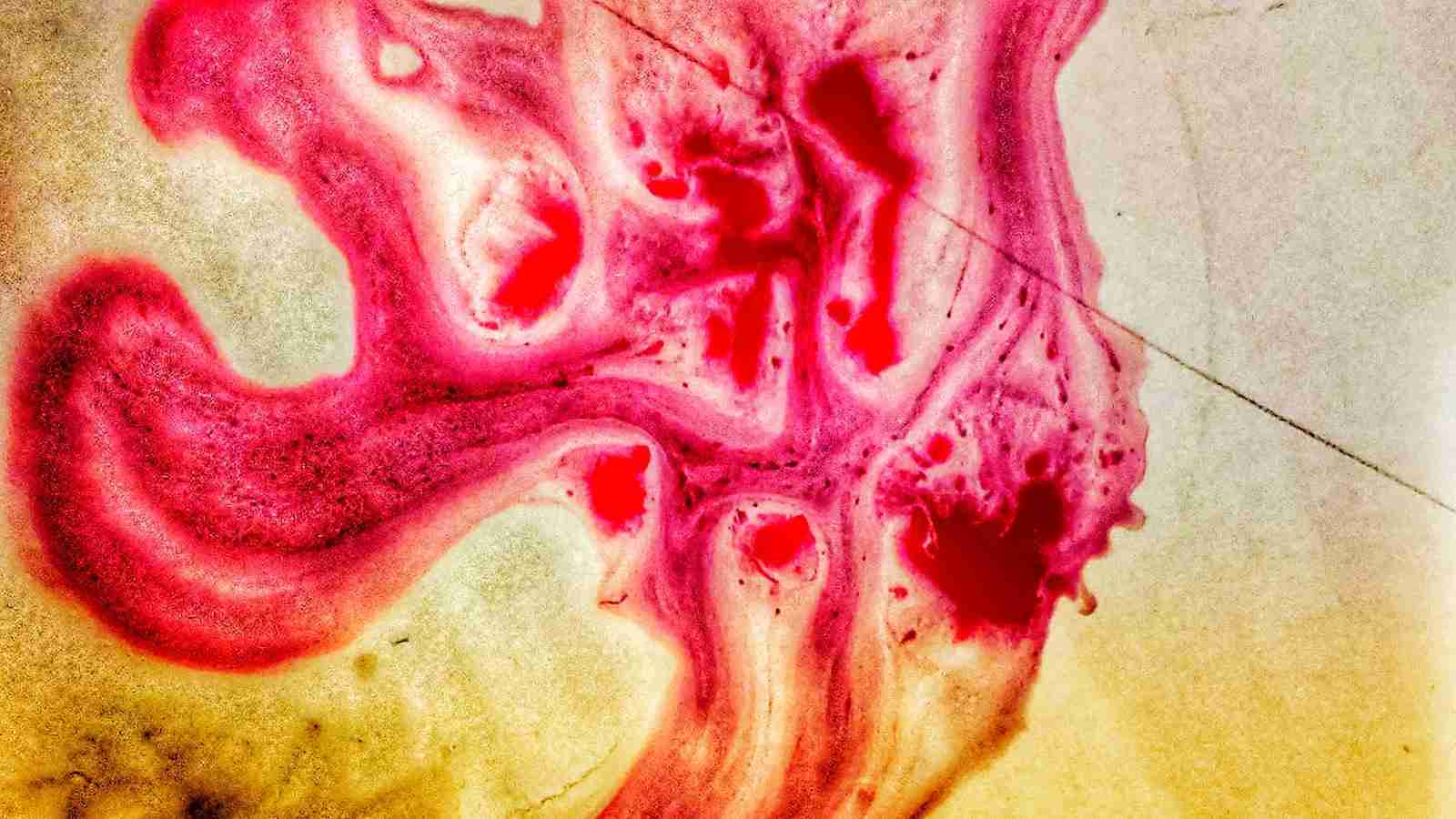 From Paddy to Plate: Exploring the Art of Rice Processing 1 Unveiling the Journey of Rice Processing