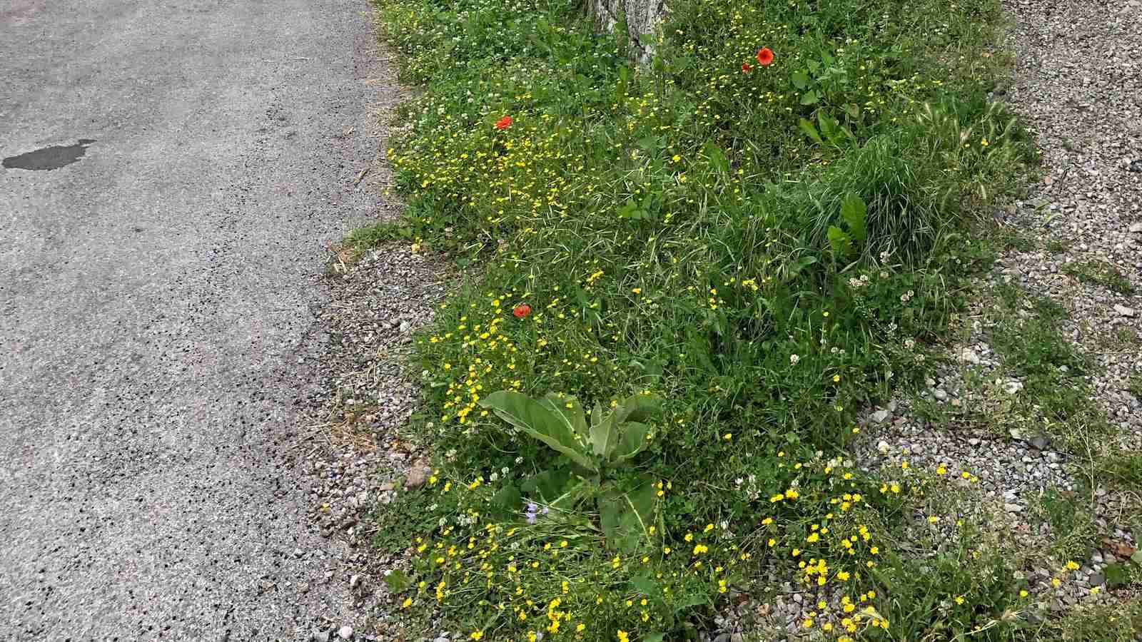 Grain to Goodness: The Art of Cereal Milling 2 Exploring the Different Types of Cereal Milling Techniques