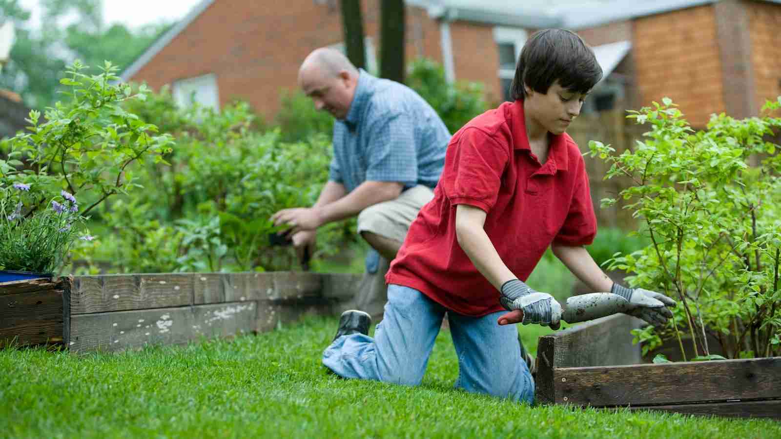 The Swirling Power of the Jet Rice Polisher 2 Enhancing Polishing Efficiency and Quality