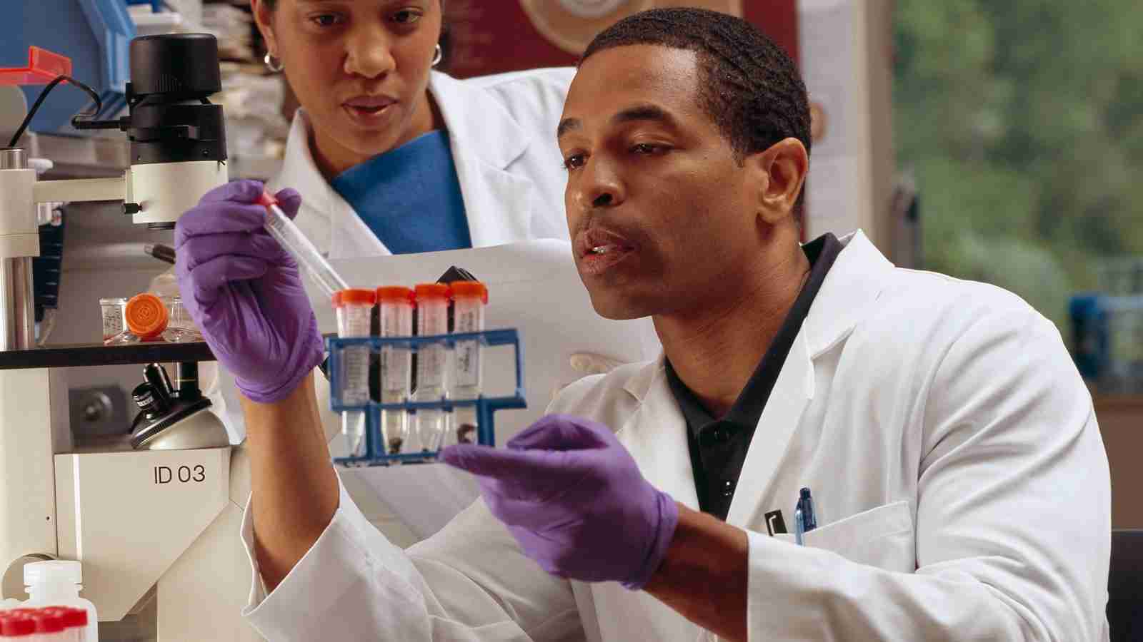 The Art of Cereal Milling: From Grain to Flour 2 The Science Behind Grain Processing and Flour Production