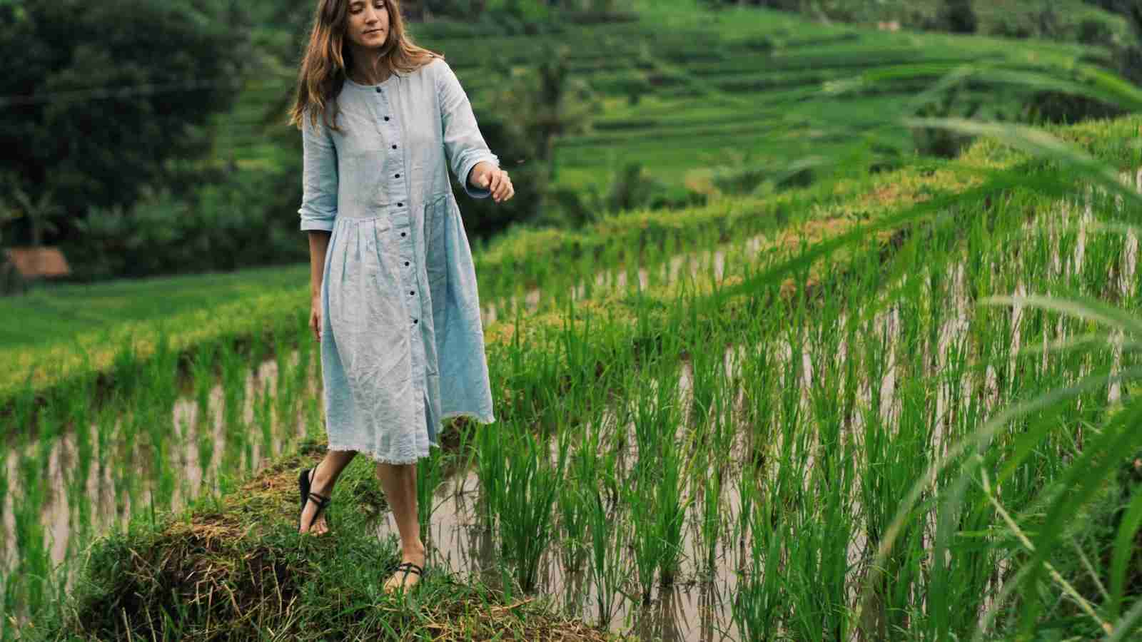 Revolutionizing Rice Production: The Innovation of Automatic Rice Mill Plants 2 Enhancing Efficiency and Quality in Rice Processing