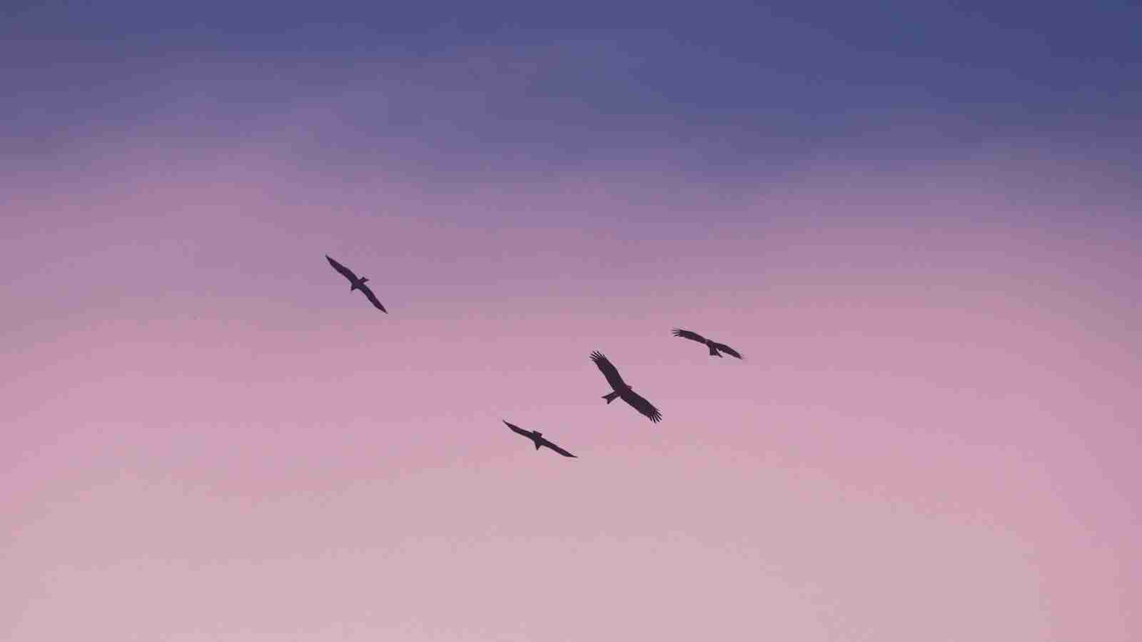 From Field to Bowl: The Intricate Art of Cereal Processing 4 Quality Control in Cereal Processing: Ensuring Nutritional Value