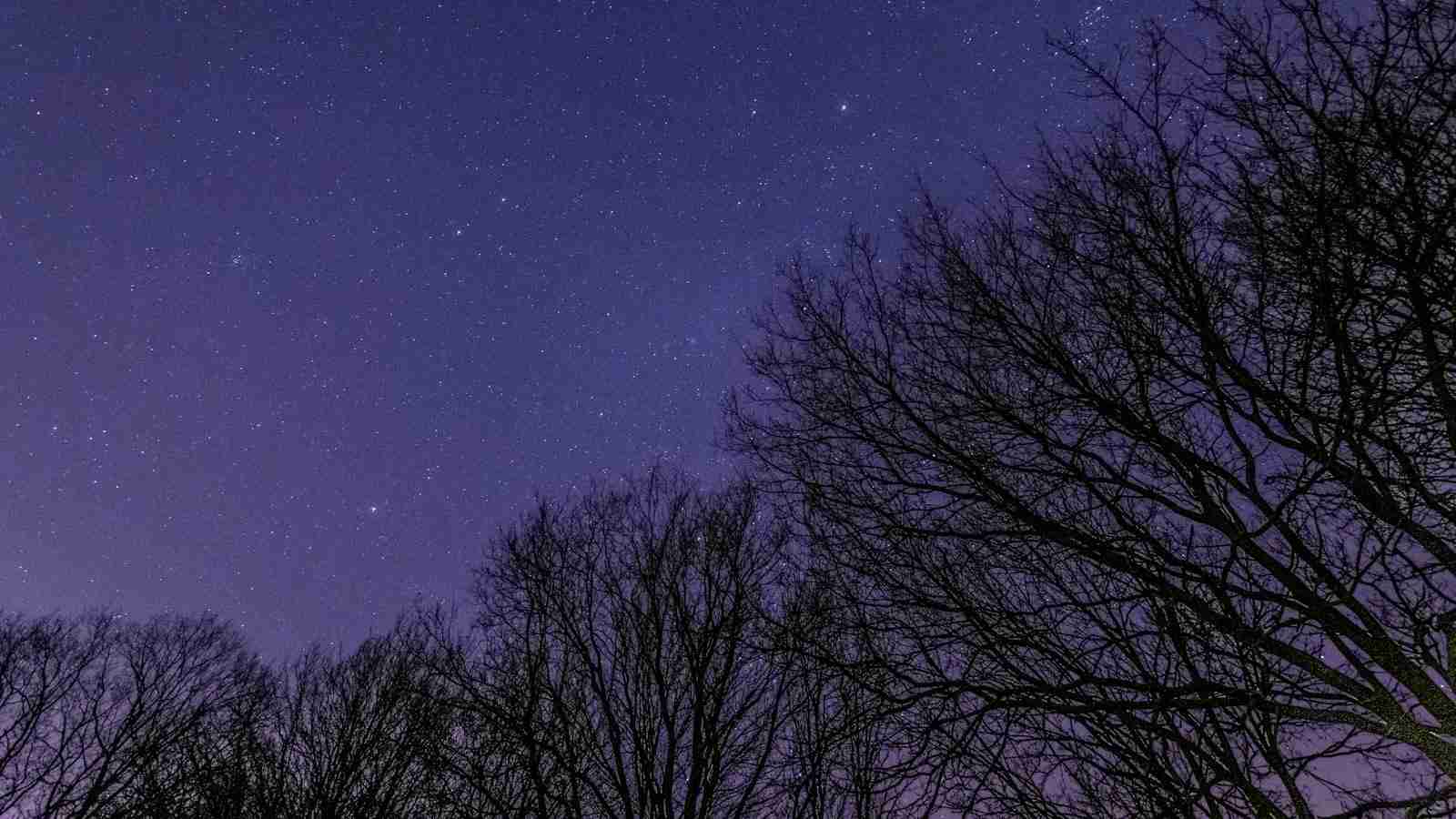 The Perfect Blend: Exploring the Combined Rice Mill 3 Enhancing Profitability with Multi-functional Rice Mill Equipment