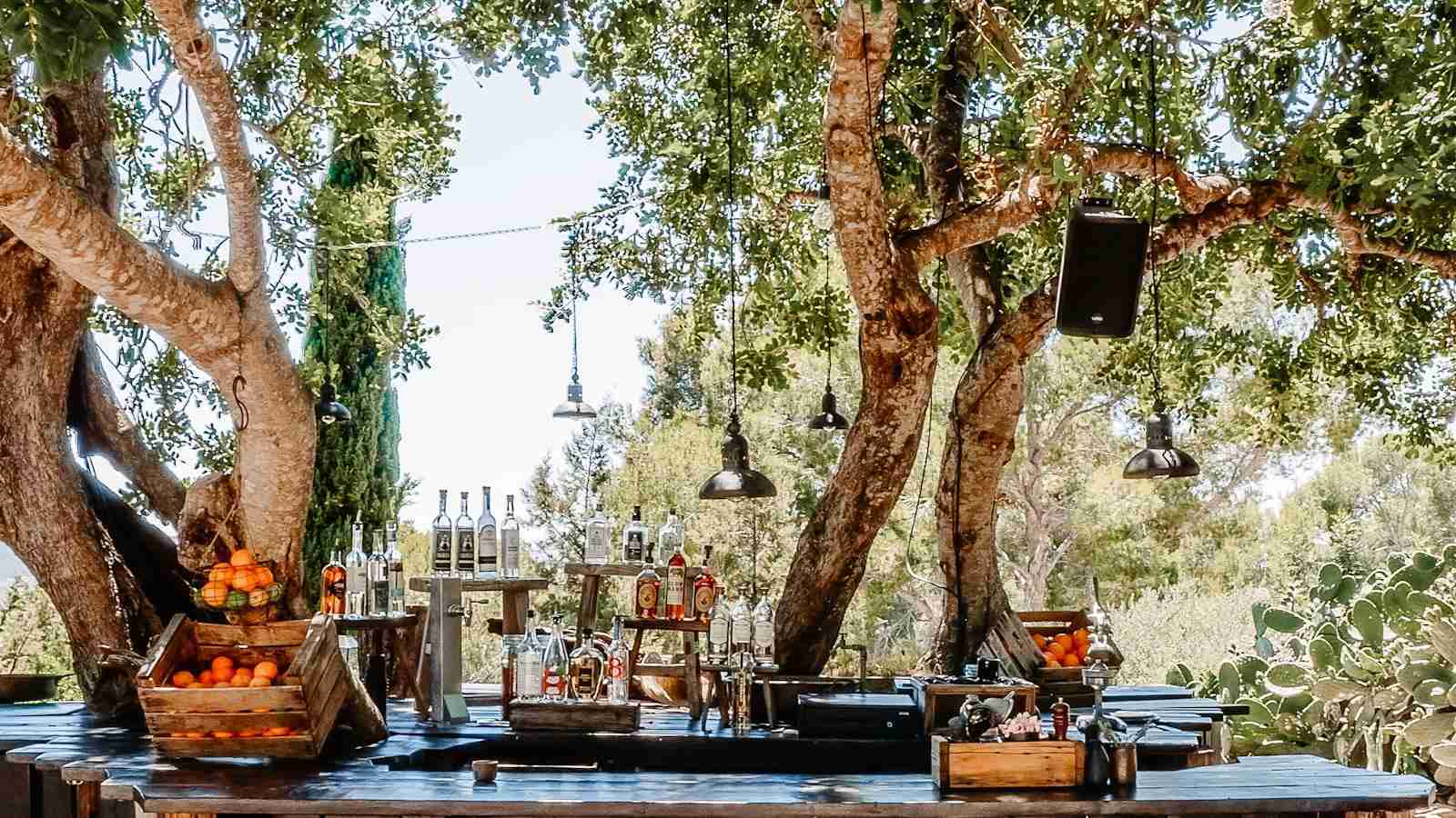 The Future of Rice: Revolutionizing Paddy Processing 1 Heading 1: Sustainable Rice Production Techniques for Increased Efficiency