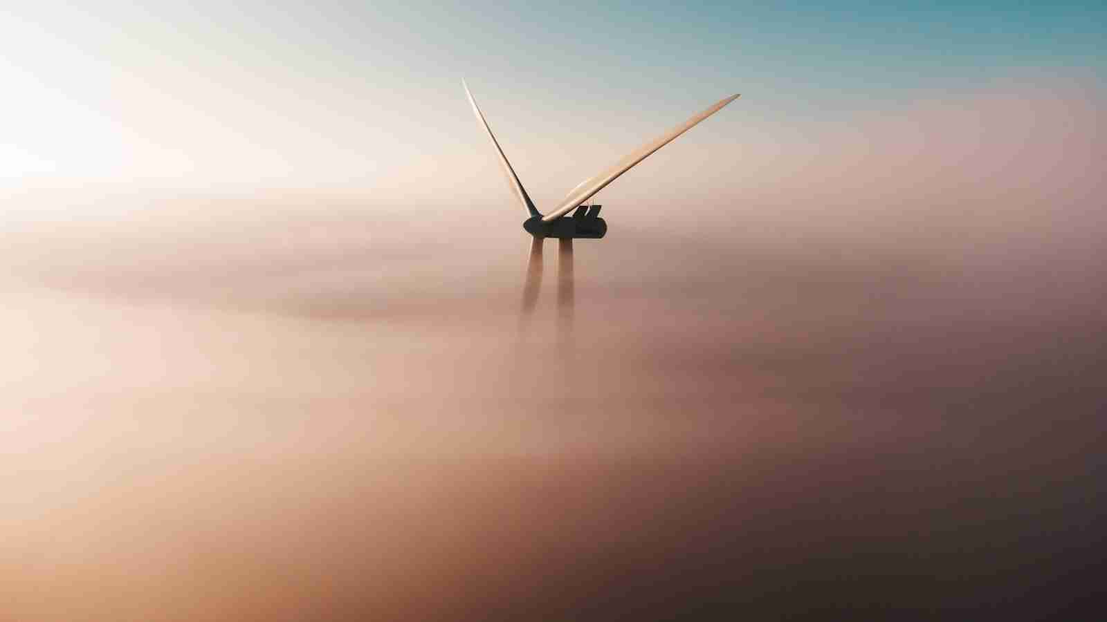 The Grain Game: Inside a Rice Processing Plant 2 Efficient Machineries for Grain Sorting