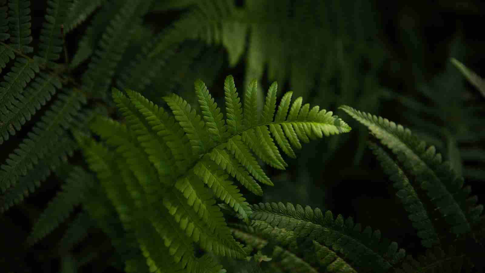 Revolutionizing Rice Processing with Mini Milling Machines 3 Heading 3: Sustainable Solutions for Small-Scale Rice Farmers