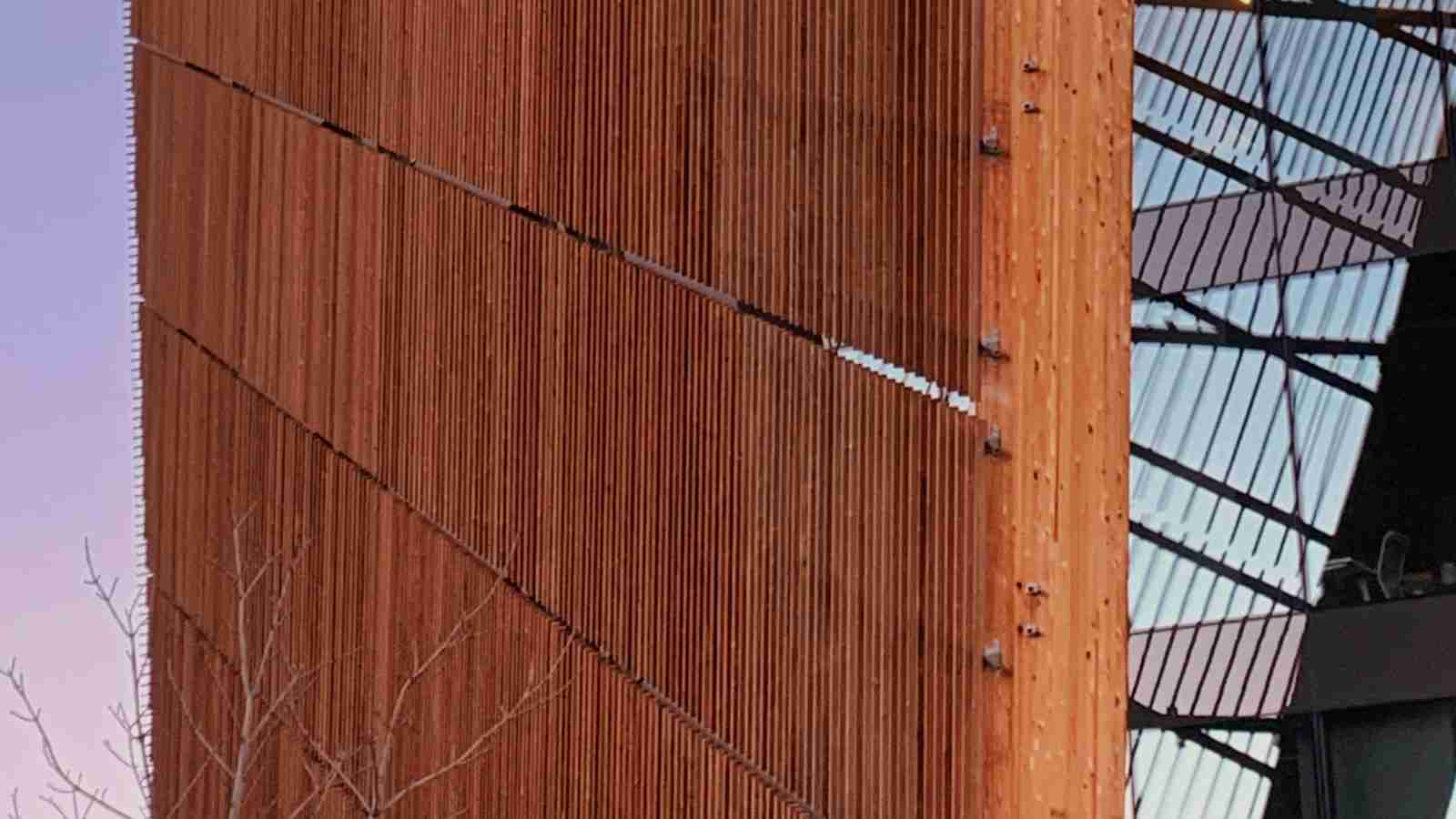 Rice Mill: Inside the Paddy Processing Factory 2 Efficient Machinery for Optimal Rice Milling