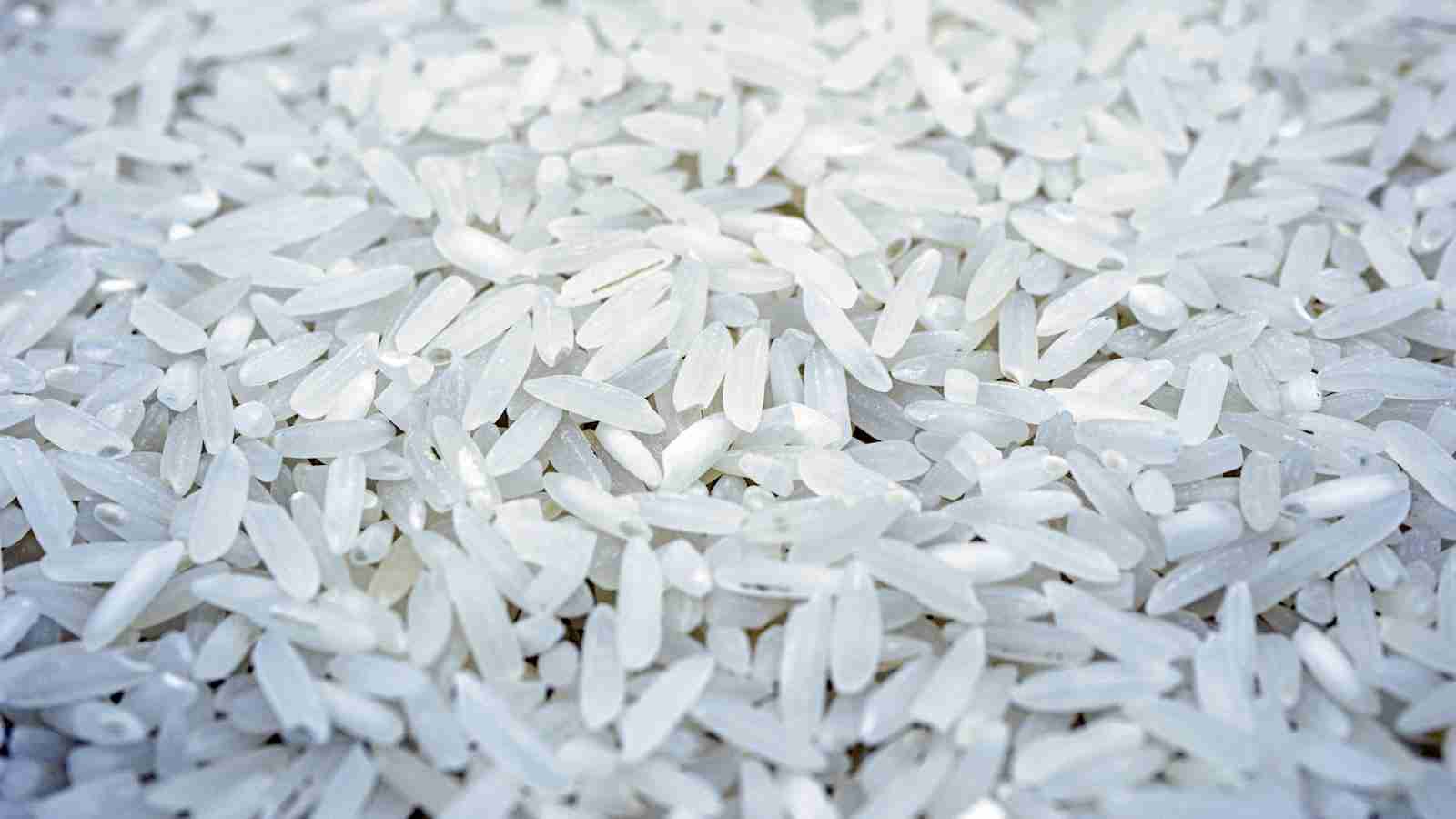 The Future of Rice Production: Streamlining with Automatic Mills 1 The Rise of Automatic Mills in Rice Production