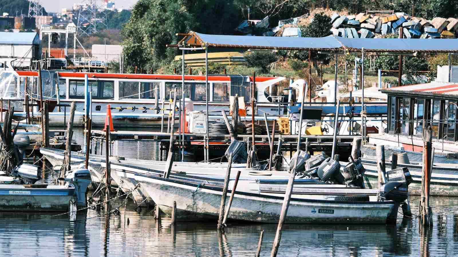 Revolutionizing Agriculture: The Automated Rice Mill Plant 2 Increase in Efficiency and Productivity