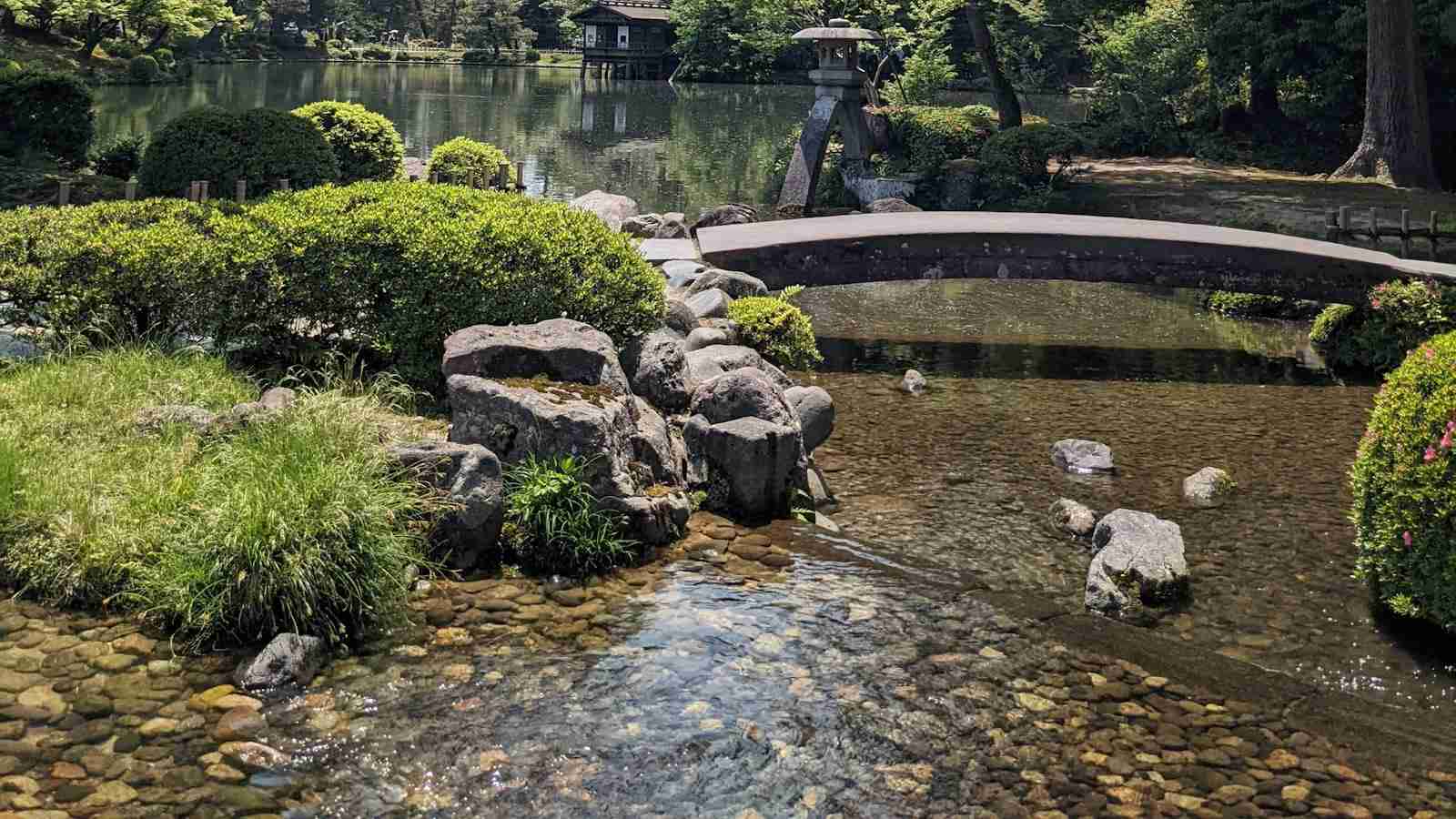 From Maize to Meal: The Fascinating World of Corn Processing 2 Exploring Different Processing Methods