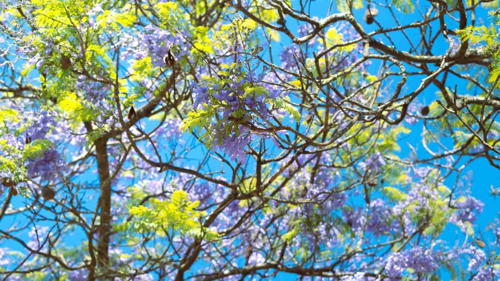 The Grain Game: Exploring the World of Rice Milling Units 3 Optimizing Efficiency and Quality in Rice Milling