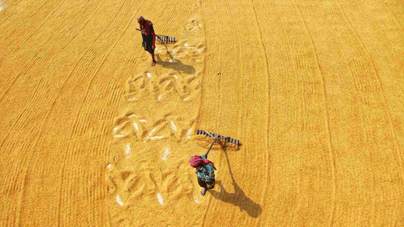 Rice Mill Magic: Unveiling the Best in the Business 1 Heading 1: The Importance of Choosing the Right Rice Mill for Optimal Results